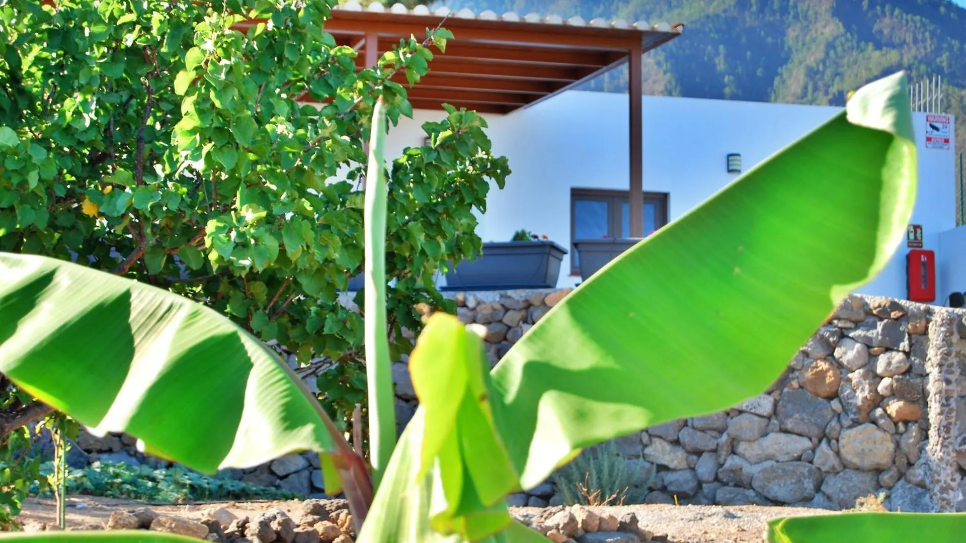 Hébergement de vacances Villa Finca Ecologica Casa El Cuarto Con Vistas à Santa-Cruz de Ténérife